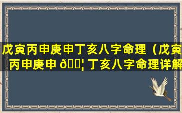 戊寅丙申庚申丁亥八字命理（戊寅丙申庚申 🐦 丁亥八字命理详解）